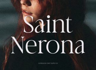 CS Regus – Modern Serif Font preview image 2