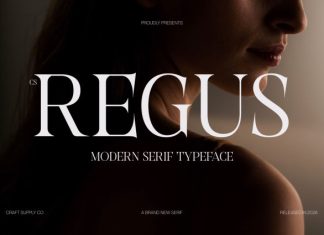 CS Regus – Modern Serif Font preview image 1