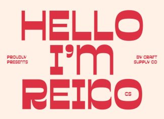 CS Reiko – Reverse Contrast Font preview image 1
