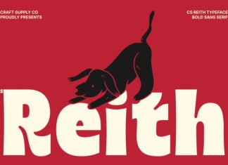 CS Reith – Bold Sans Serif Font preview image 1