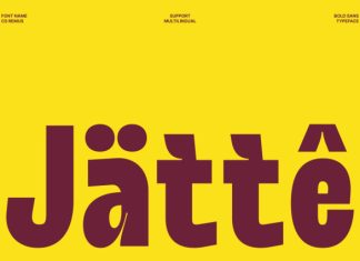 CS Remus – Inktrap Font preview image 2