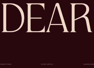 CS Rialta – Elegant Serif Font preview image 2