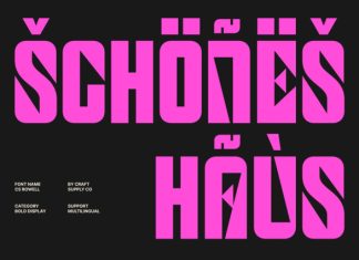 CS Rowell – Bold Display Font preview image 3