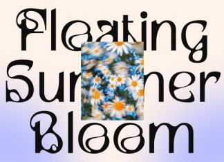 CS Rumer – Melted Sans Serif Font preview image 3