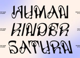 CS Rumer – Melted Sans Serif Font preview image 1