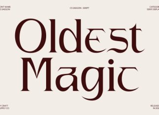 CS Saegon – Modern Serif Font preview image 2