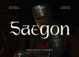 CS Saegon – Modern Serif Font preview image 1