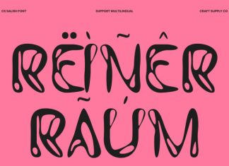CS Salish – Experimental Font preview image 2