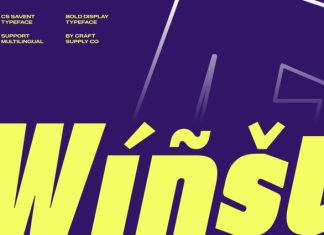 CS Savent – Bold Sans Serif Font preview image 3