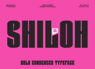 CS Shiloh – Condensed Font preview image 1