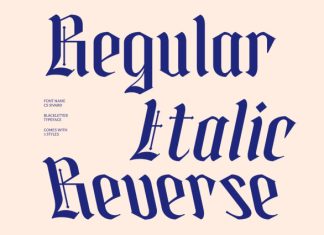 CS Sivard – Blackletter Font preview image 3