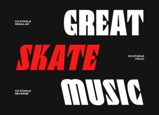 CS Stadle – Bold Sans Serif Font preview image 2