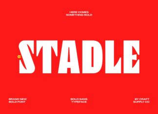 CS Stadle – Bold Sans Serif Font preview image 1