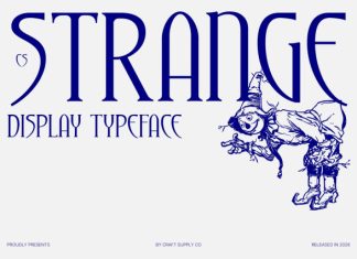 CS Strange – Modern Serif Font preview image 1