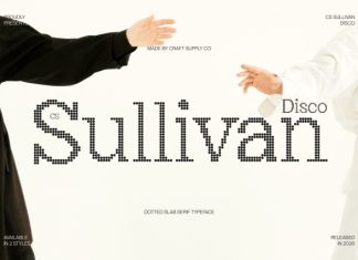 CS Sullivan Disco Font preview image 1