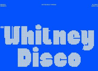 CS Whitney Disco Font preview image 1