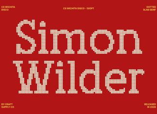 CS Wichita Disco Font preview image 3