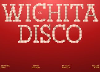 CS Wichita Disco Font preview image 1