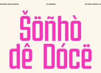 CS Wisdom – Condensed Font preview image 2