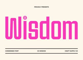 CS Wisdom – Condensed Font preview image 1