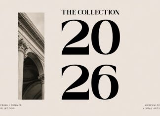 Caelvin – Modern Editorial Serif Font preview image 3