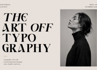 Caelvin – Modern Editorial Serif Font preview image 2