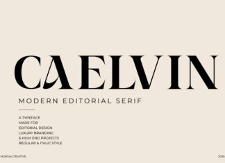 Caelvin – Modern Editorial Serif Font preview image 1