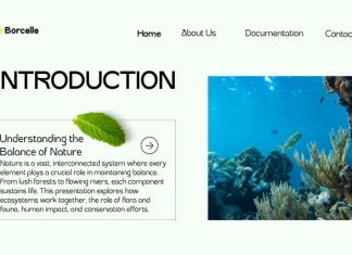 Caitog – Sans Font Family preview image 3