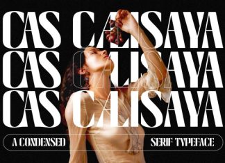 Cas Calisaya Elegant Font preview image 1