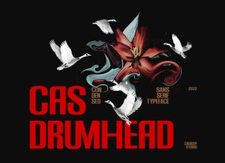 Cas Drumhead Display Condensed Font preview image 1