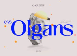 Cas Olgans Elegant Display Font preview image 1