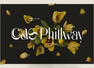 Cas Phillway Elegant Font preview image 1