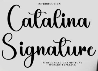 Catalina Signature Font preview image 1