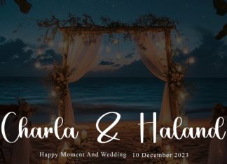 Catalina Signature Font preview image 2