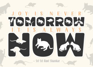Catty Mouse Font preview image 3