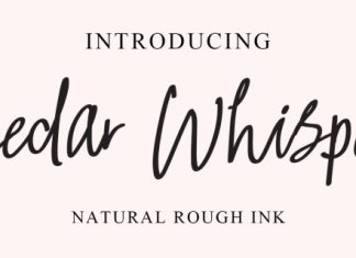 Cedar Whisper Font preview image 1