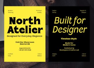 Celvor Edition Font preview image 3