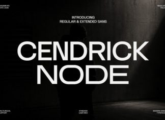 Cendrick Node – Sans Serif Font preview image 1
