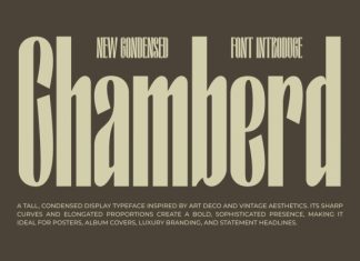 Chamberd Font preview image 1