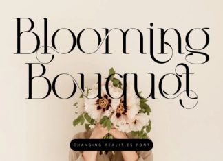 Changing Realities – Modern Serif Font preview image 3