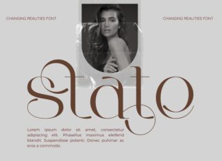 Changing Realities – Modern Serif Font preview image 2