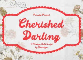 Cherished Darling Vintage Bold Script Font preview image 1