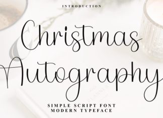 Christmas Autography Font preview image 1