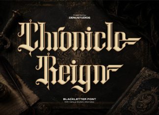 Chronicle Reign Blackletter Font preview image 1