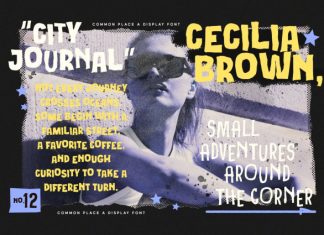 Common Place Zine Paper Display Font preview image 2