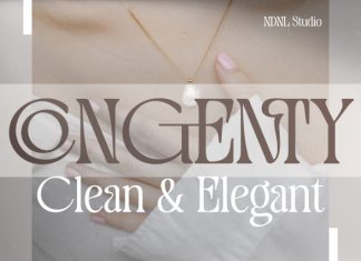 Congenty – Serif Font preview image 1