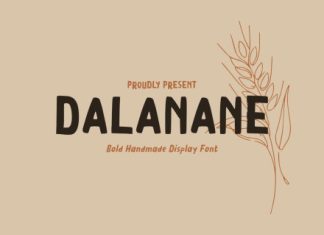Dalanane Playful Display Font preview image 1