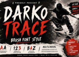 Darko Trace Font preview image 1