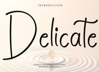 Delicate Font preview image 1