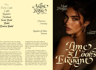 Dh Alani Rosle Font preview image 3